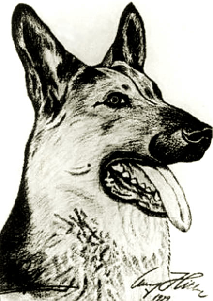 Собака - Гитлер