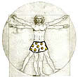 Vitruvian Man-6