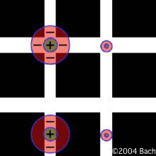 Hermann grid illusions