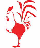 Red Cock 2017