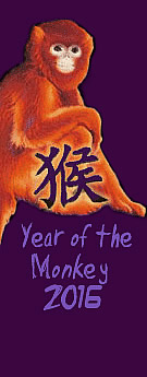 monkey-4.jpg