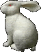 г  2023