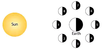 Moon Phases