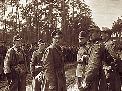 9 мая 1945 года Капитуляция немцев на косе Фриш-Нерунг. Восточная Пруссия. Немецкие офицеры принимают от советского офицера условия капитуляции и порядок сдачи в плен