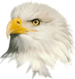 Орёл - символ высокого парения богословской мысли