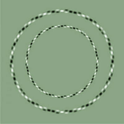 Fraser spiral illusion, false spiral, twisted cord effect. Pictures and ...